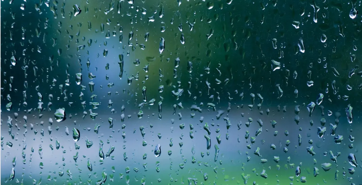 Can You Reuse Rainwater for Plumbing Use?